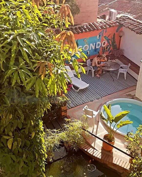 Macondo's courtyard from above: mango-tree leaves, a wooden deck with a lounger and a table, the coral MACONDO mural with painted macaws, a small round plunge pool and the koi pond below.