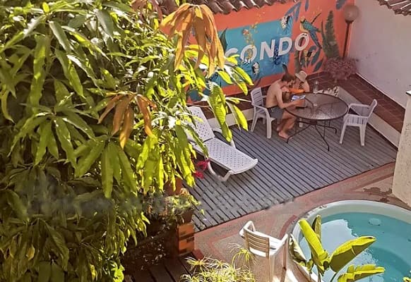 Macondo's courtyard from above: mango-tree leaves, a wooden deck with a lounger and a table, the coral MACONDO mural with painted macaws, a small round plunge pool and the koi pond below.