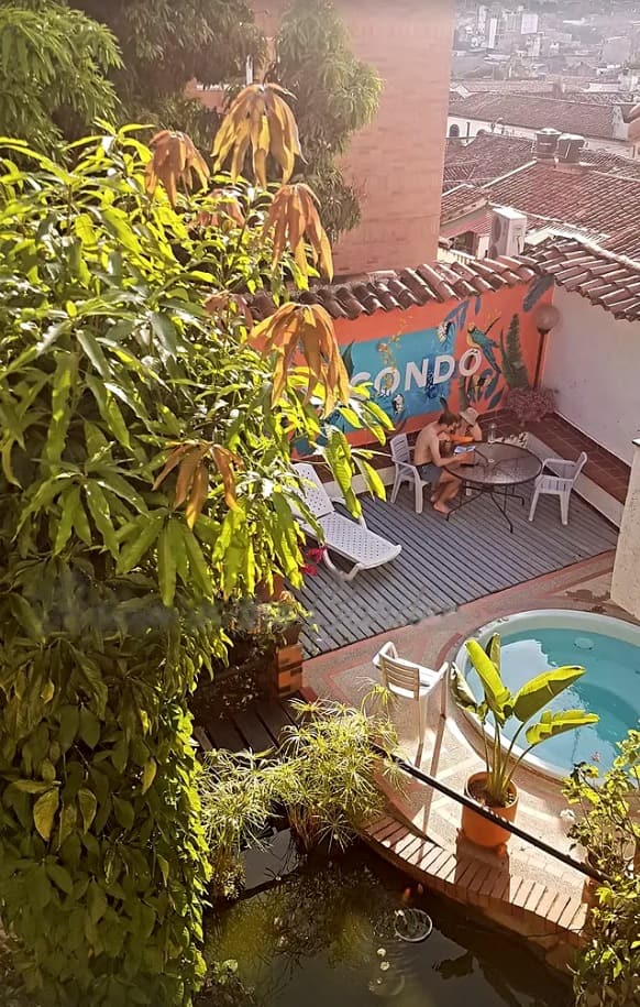 Macondo's courtyard from above: mango-tree leaves, a wooden deck with a lounger and a table, the coral MACONDO mural with painted macaws, a small round plunge pool and the koi pond below.
